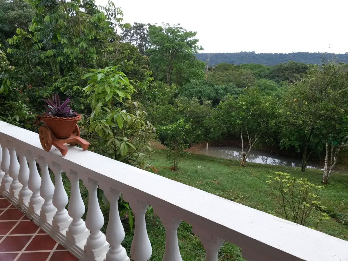 A charming balcony view showcases a lush green landscape filled with trees and vibrant plants. A terracotta pot sits on the railing, adding a touch of color. The scenery includes a gentle slope leading to a tranquil body of water, enhancing the natural setting.