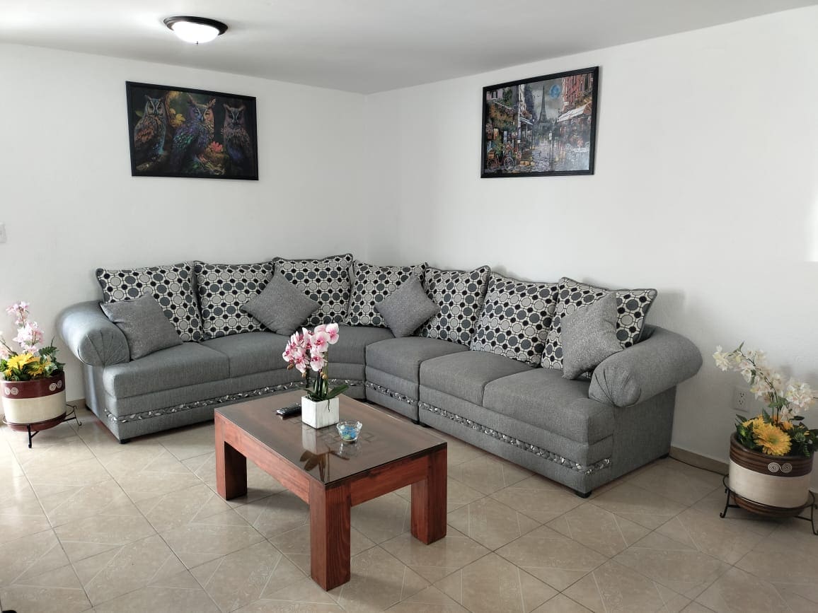 A spacious living area features a large, L-shaped gray sofa adorned with patterned cushions. A wooden coffee table sits at the center, surrounded by decorative flower arrangements in planters. Two vibrant framed artworks are displayed on the white walls.