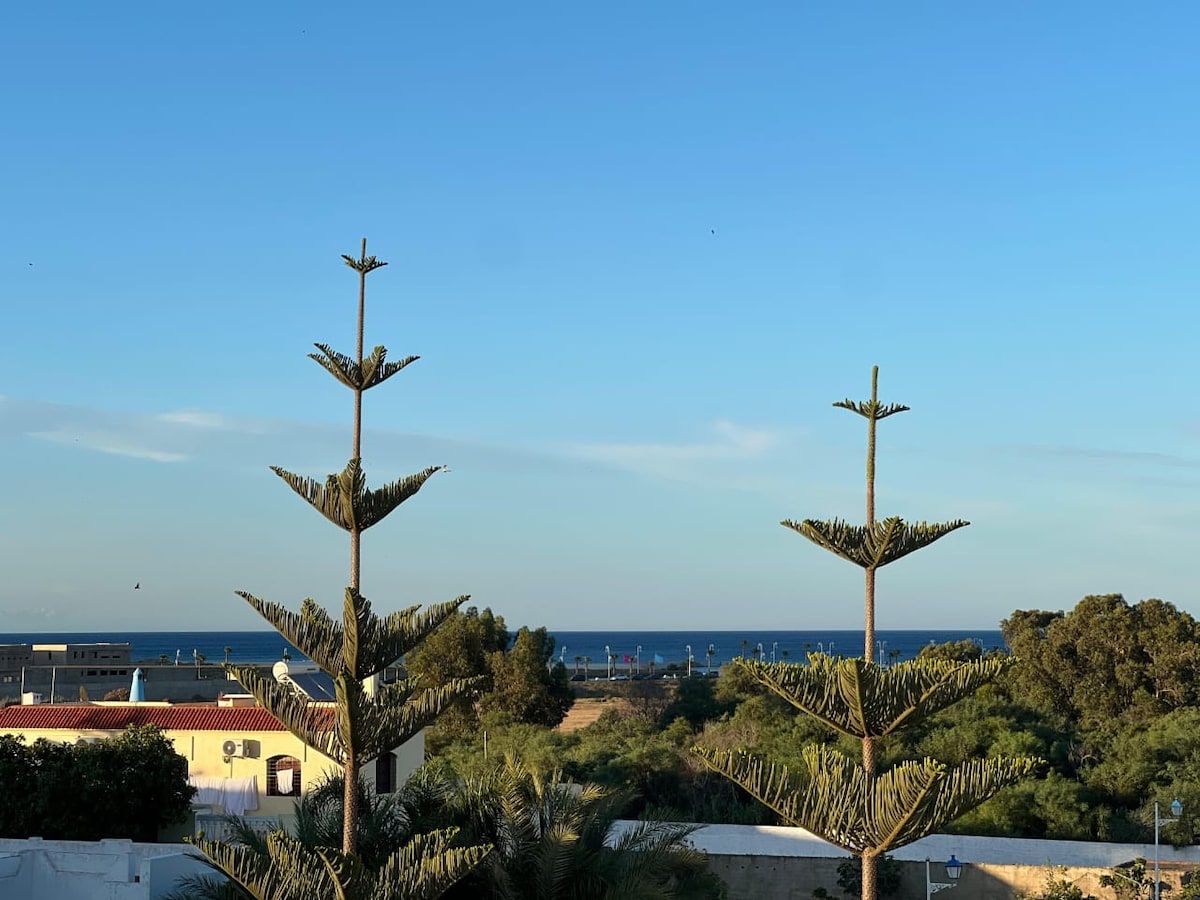 Two tall trees with distinctive branches are shown against a clear blue sky, overlooking a serene ocean view. The landscape features a mix of green vegetation and distant buildings, creating a tranquil backdrop.
