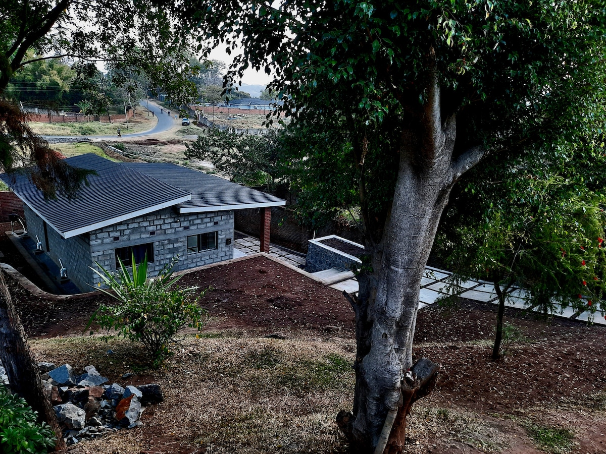 A modern stone house is nestled among lush trees, offering a peaceful retreat. A well-maintained garden surrounds the property, featuring a pathway leading to the entrance. The view reveals a scenic landscape and a winding road in the background.