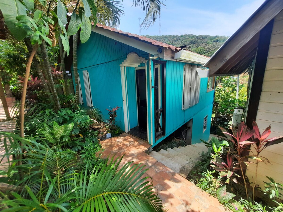 A vibrant turquoise house is nestled among lush greenery, accessed by a set of steps. The house features white window shutters and an inviting entrance. Tropical plants and foliage surround the area, enhancing the sense of location within a natural environment.