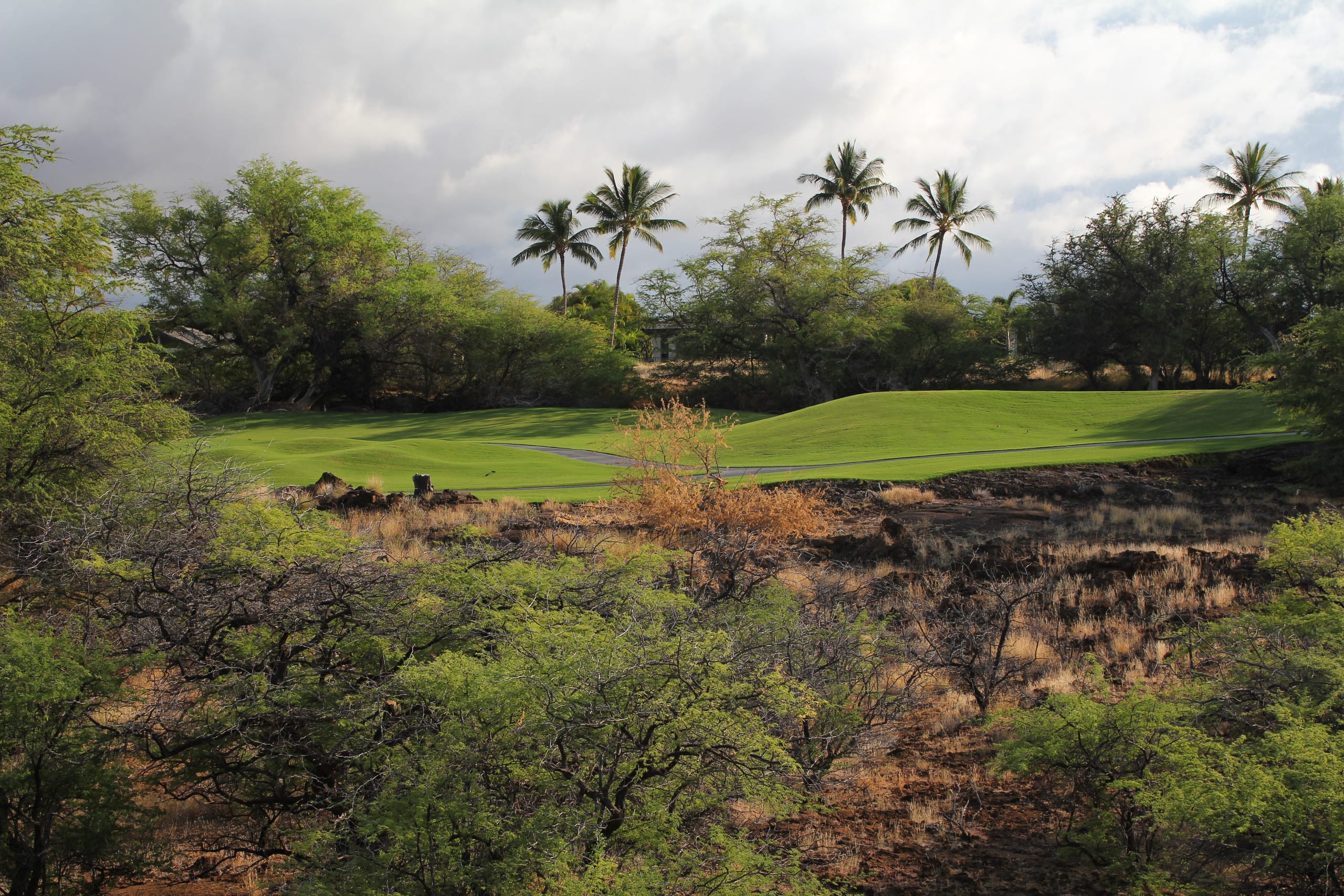 Townhouse in Waimea · ★4.87 · 2 bedrooms · 4 beds · 2.5 baths - Image 10