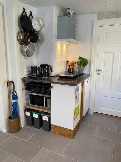 Top Airbnb: Drengestua from 1817 - historic house with garden in Sagene
