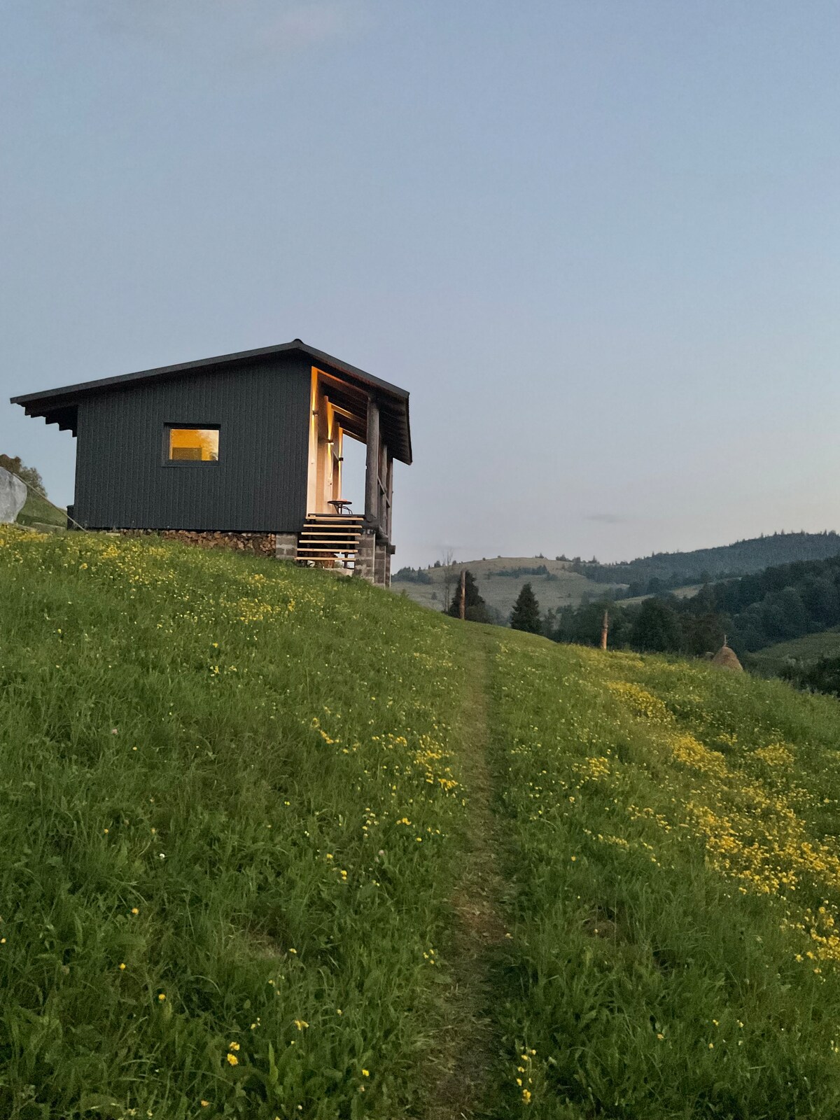 A modern cabin is set on a grassy hillside, surrounded by vibrant wildflowers. The structure features large windows, providing views of the lush green landscape. A narrow dirt path leads up to the entrance, inviting quiet exploration of the natural surroundings.