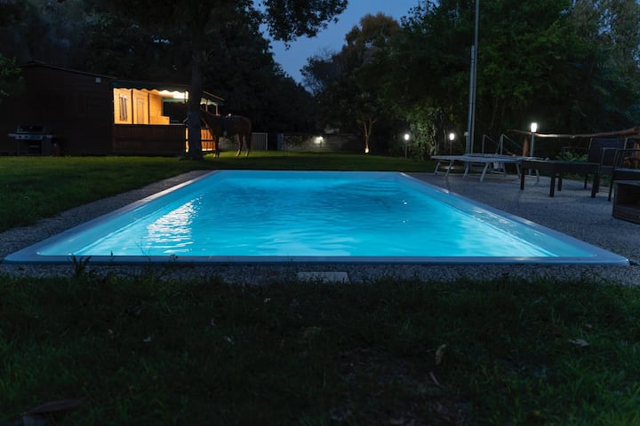 Chalet with garden and swimming pool.