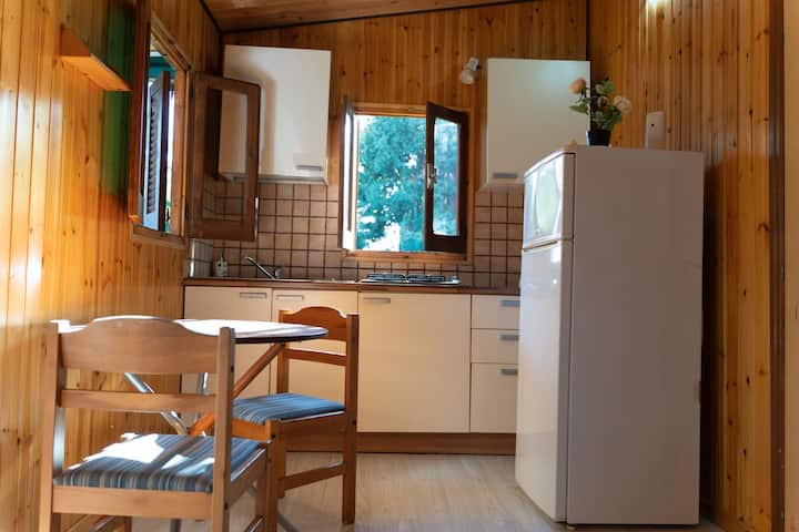 Chalet Con Giardino E Piscina. - Aprilia