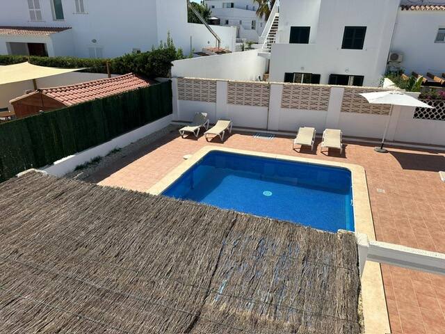 Rosa gallery image 3