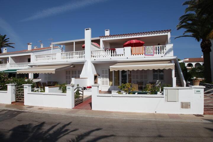 Rosa gallery image 4