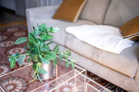 Propriété Airbnb réussie: Charming and bright apartment. à Perpignan