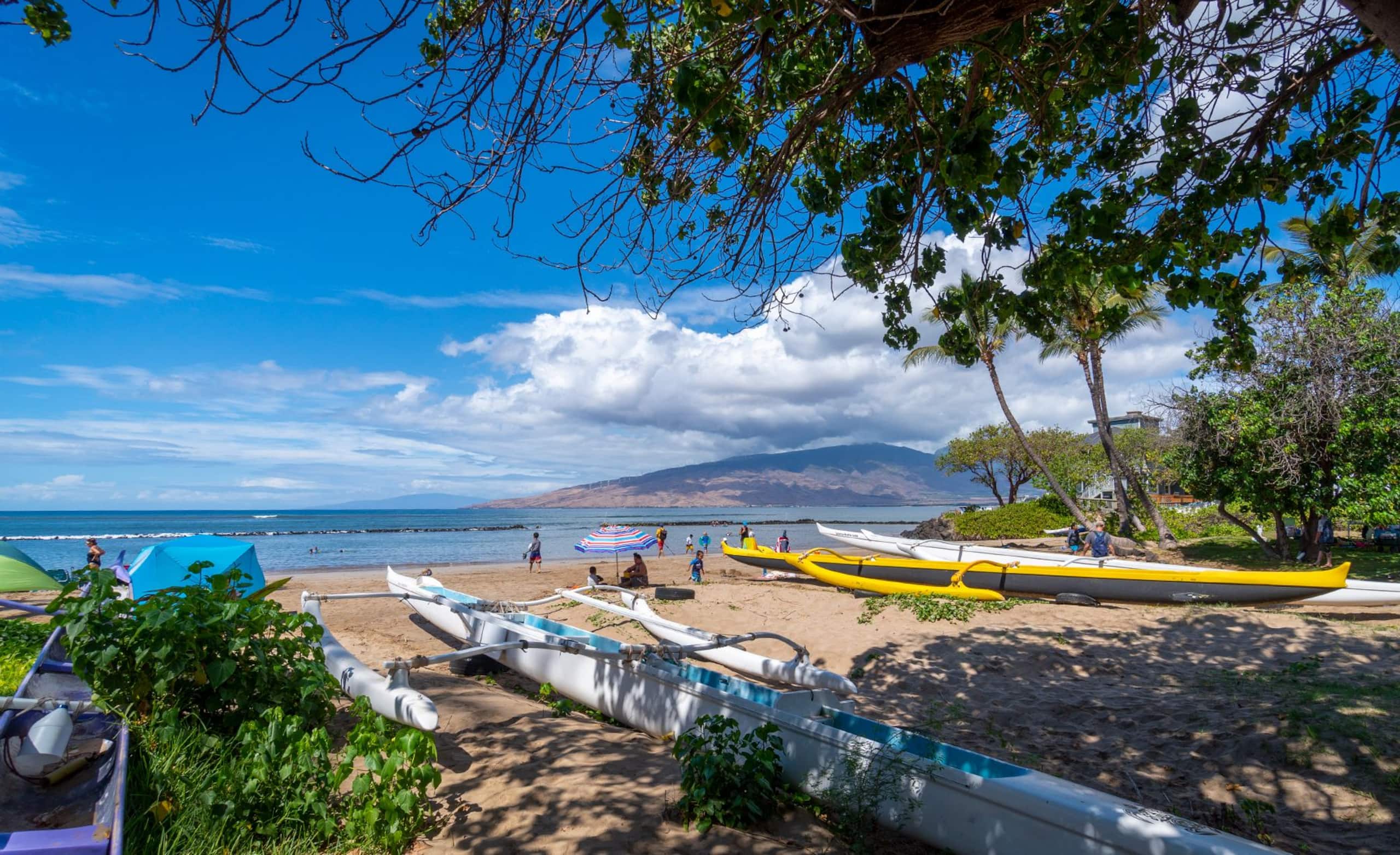 Condo in Kihei · ★4.81 · 1 bedroom · 2 beds · 1 private bath - Image 11