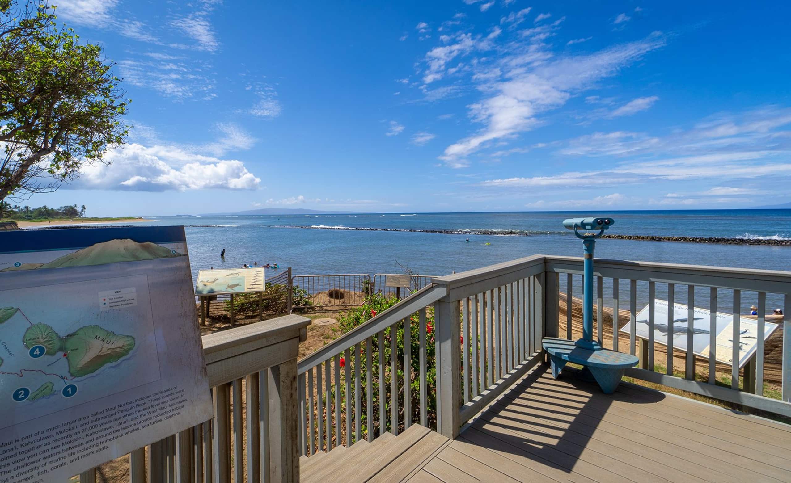 Condo in Kihei · ★4.81 · 1 bedroom · 2 beds · 1 private bath - Image 8