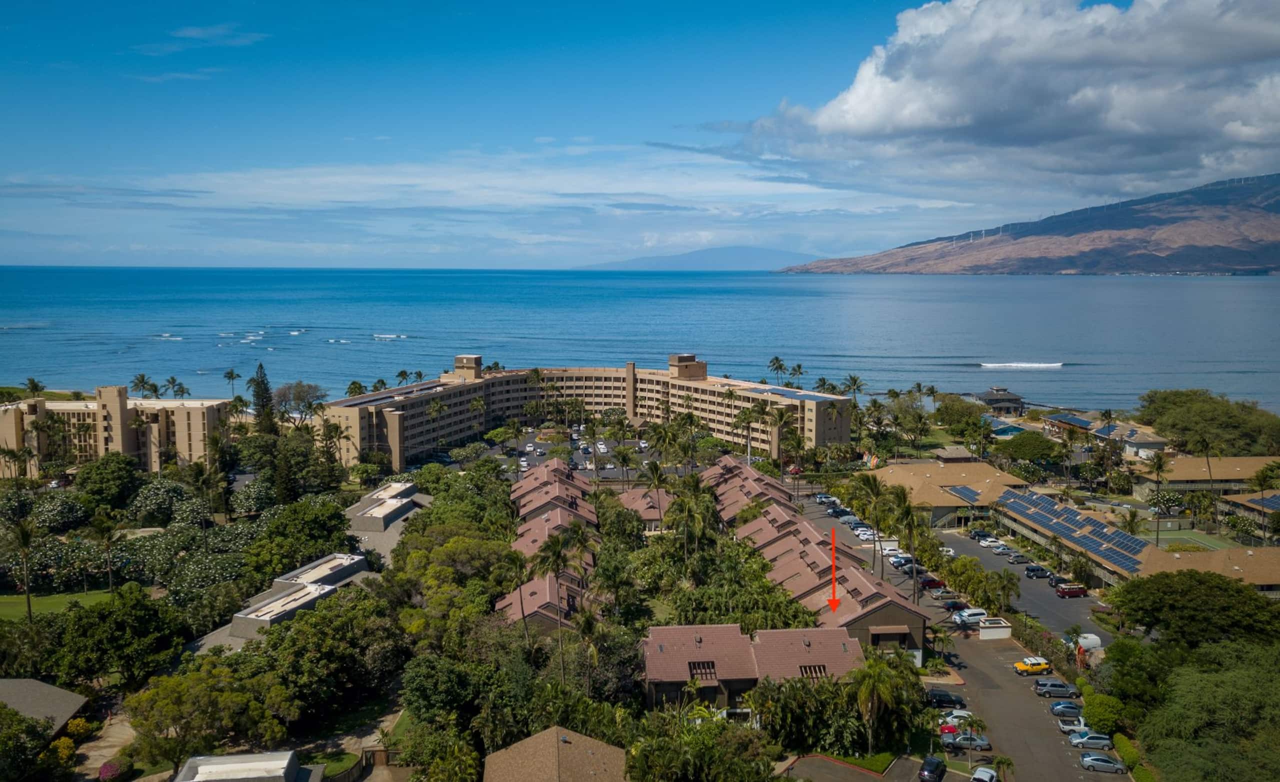 Condo in Kihei · ★4.81 · 1 bedroom · 2 beds · 1 private bath - Image 9