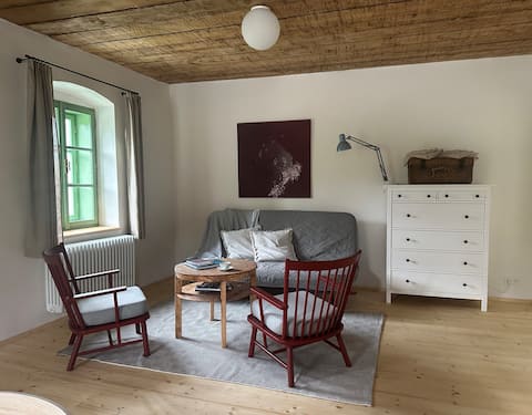 Popular Airbnb listing: Otice Apartment in Horní Planá