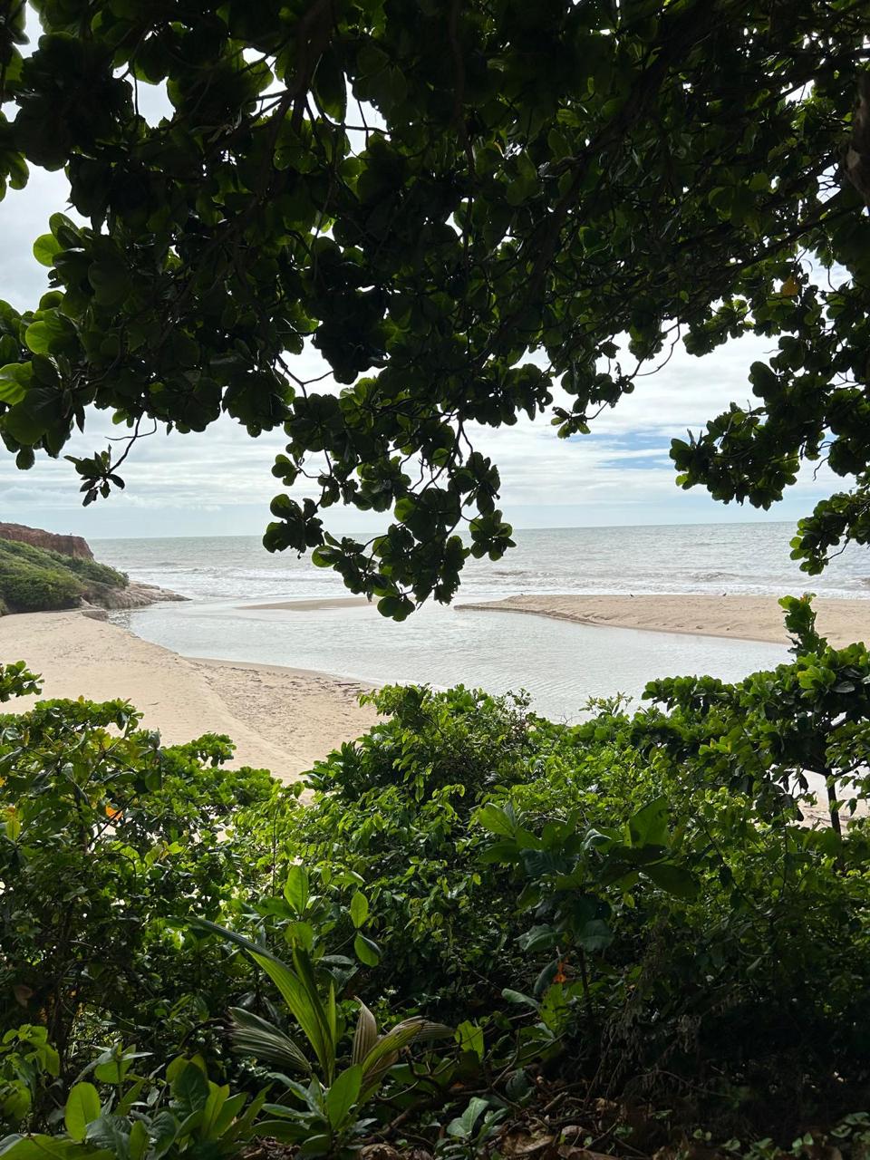 The image captures a natural view of the beach framed by lush greenery. Gentle waves can be seen on the sandy shore, with calm waters extending into the distance. Cloudy skies provide a soft lighting effect on the scene, enhancing the serene atmosphere.