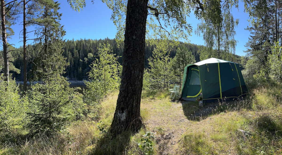 A spacious tent is set amid a serene natural landscape, surrounded by tall trees and lush greenery. The tent's exterior is vibrant green, with sunlight filtering through the leaves, illuminating the area. A tranquil body of water is visible in the background.