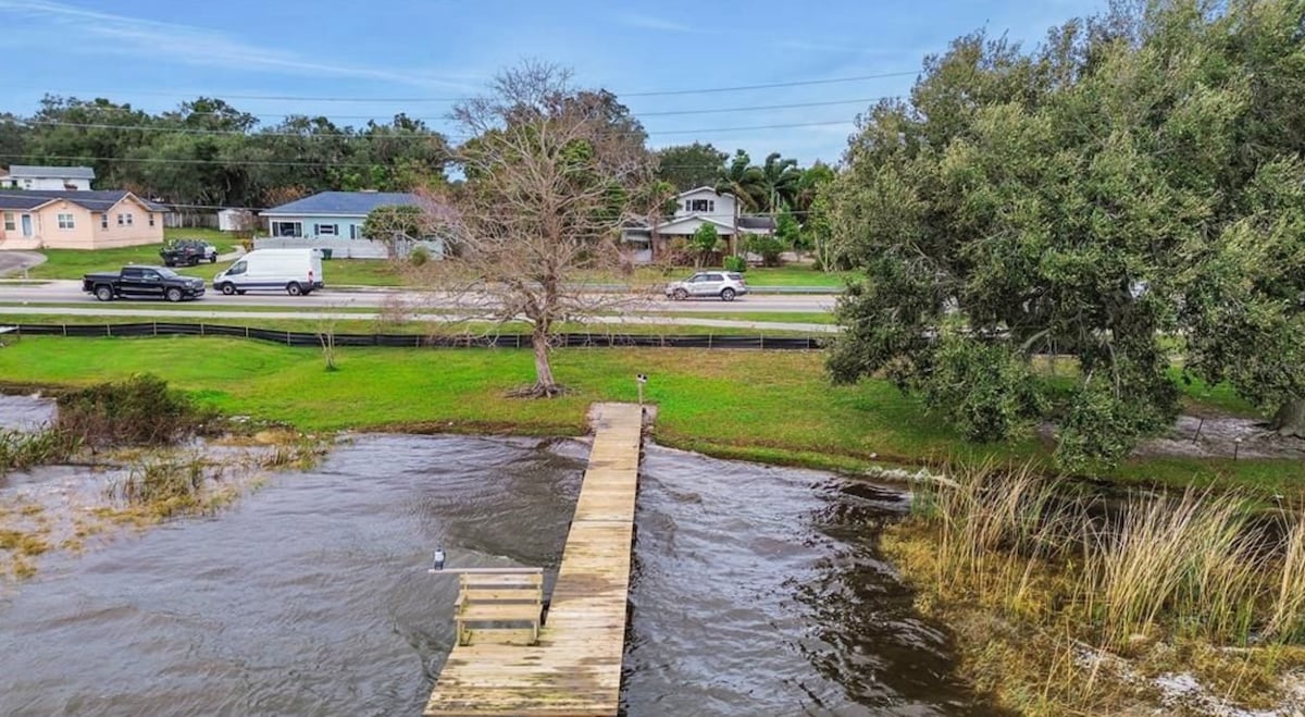 A wooden dock extends into the water, surrounded by grassy areas and trees. Across the water, residential homes line the street, with vehicles visible on the road. The scene captures the natural charm of the lakeside environment.