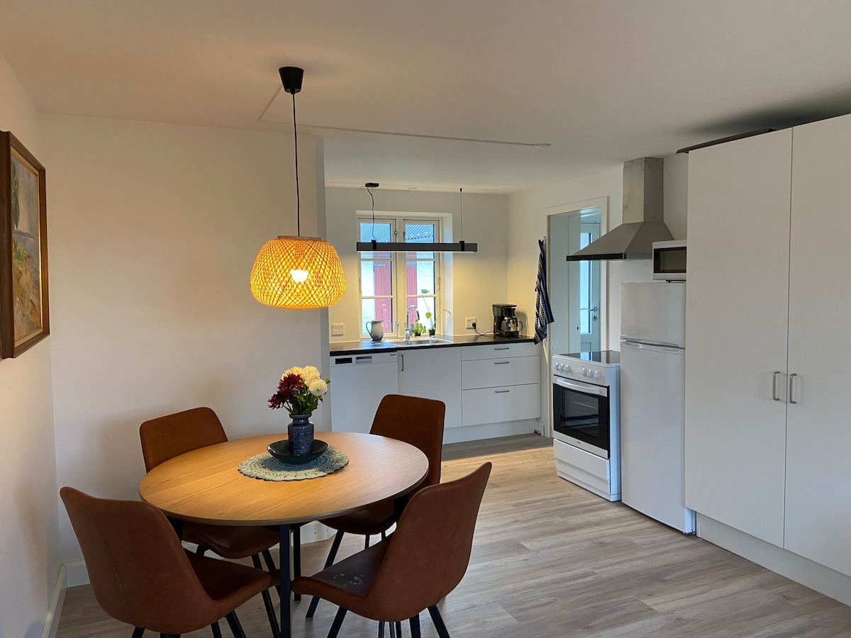 A light-filled kitchen area features a circular wooden dining table surrounded by four brown chairs. A woven pendant light hangs above, while a modern kitchen setup includes a white refrigerator, an oven, and a sink situated near a window.