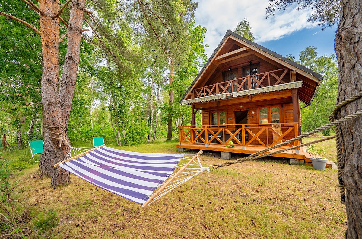 A wooden cabin is nestled among trees, featuring a spacious deck with railings. A striped hammock is suspended between two trees, providing a relaxing spot. Green chairs are placed nearby on the grass, enhancing the tranquil outdoor environment.