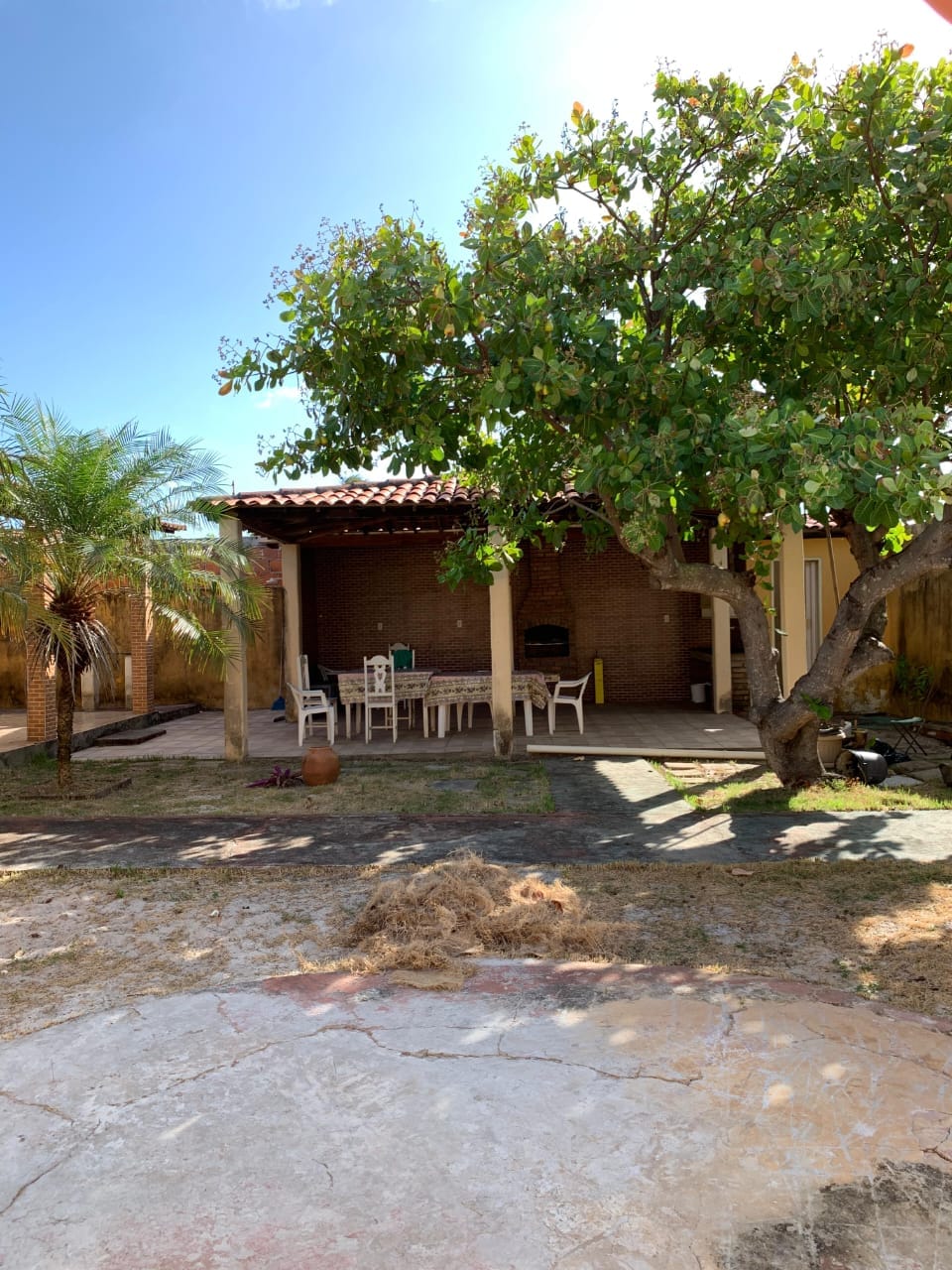 A shaded outdoor area features a rustic patio with a table and several chairs. A tree provides natural cover, while a brick wall adds texture to the backdrop. The ground is partially paved, with patches of grass and sandy soil visible.