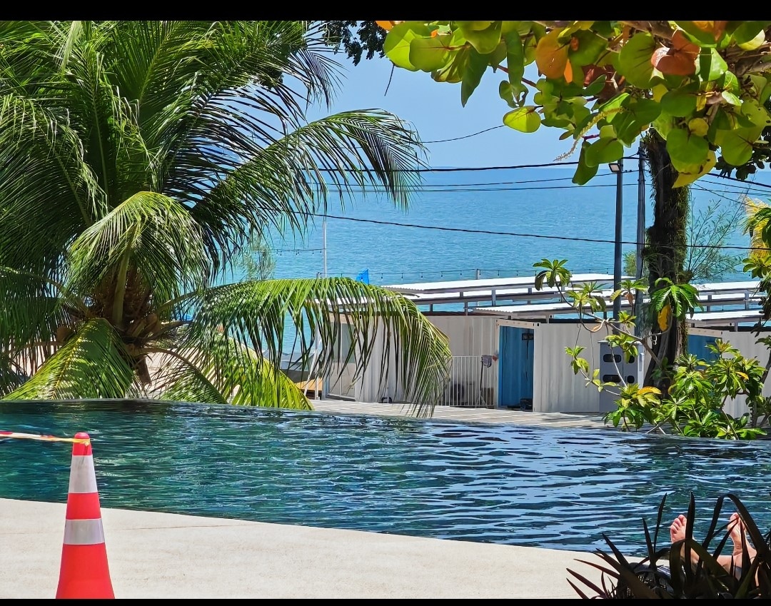 An infinity pool stretches alongside lush palm trees, offering views of the ocean in the distance. Bright greenery frames the scene, with sunlight reflecting off the water's surface. A safety cone is positioned beside the pool, emphasizing a welcoming yet careful environment.