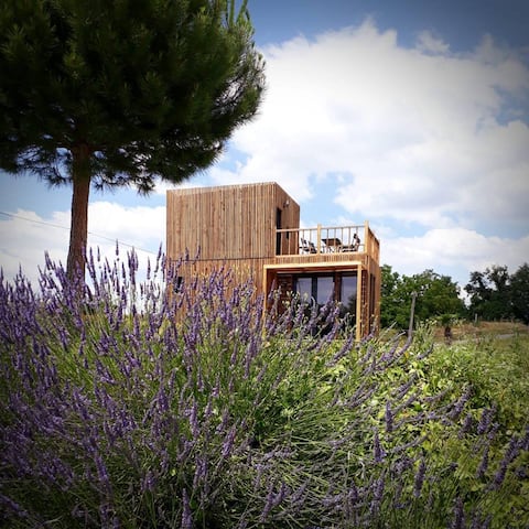 DadaLoge "Côté manège" (DadaLoge "Merry-Go-Round Side")
at the Manège de la Chapiniere