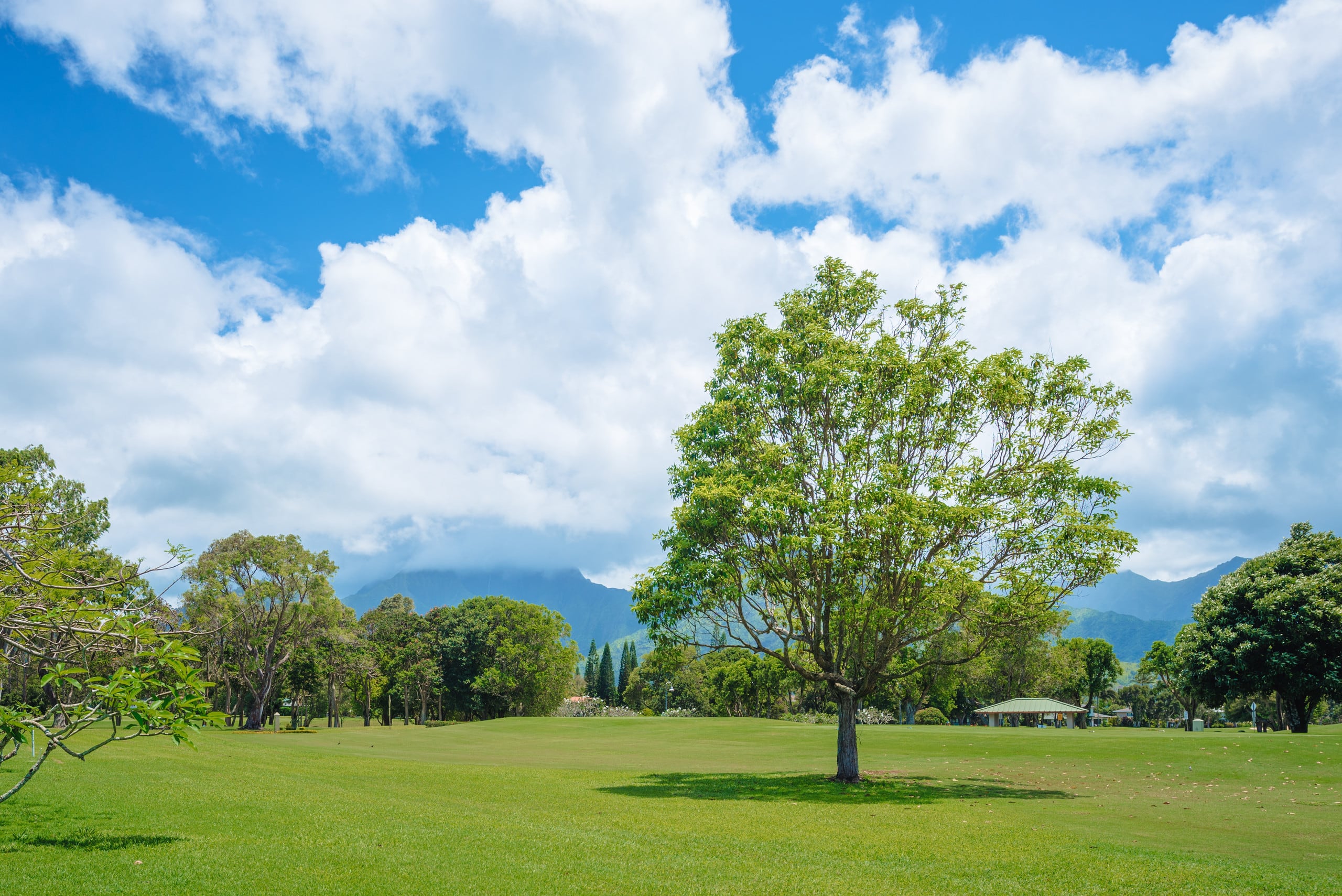 Home in Princeville · ★5.0 · 3 bedrooms · 4 beds · 2 baths - Image 23