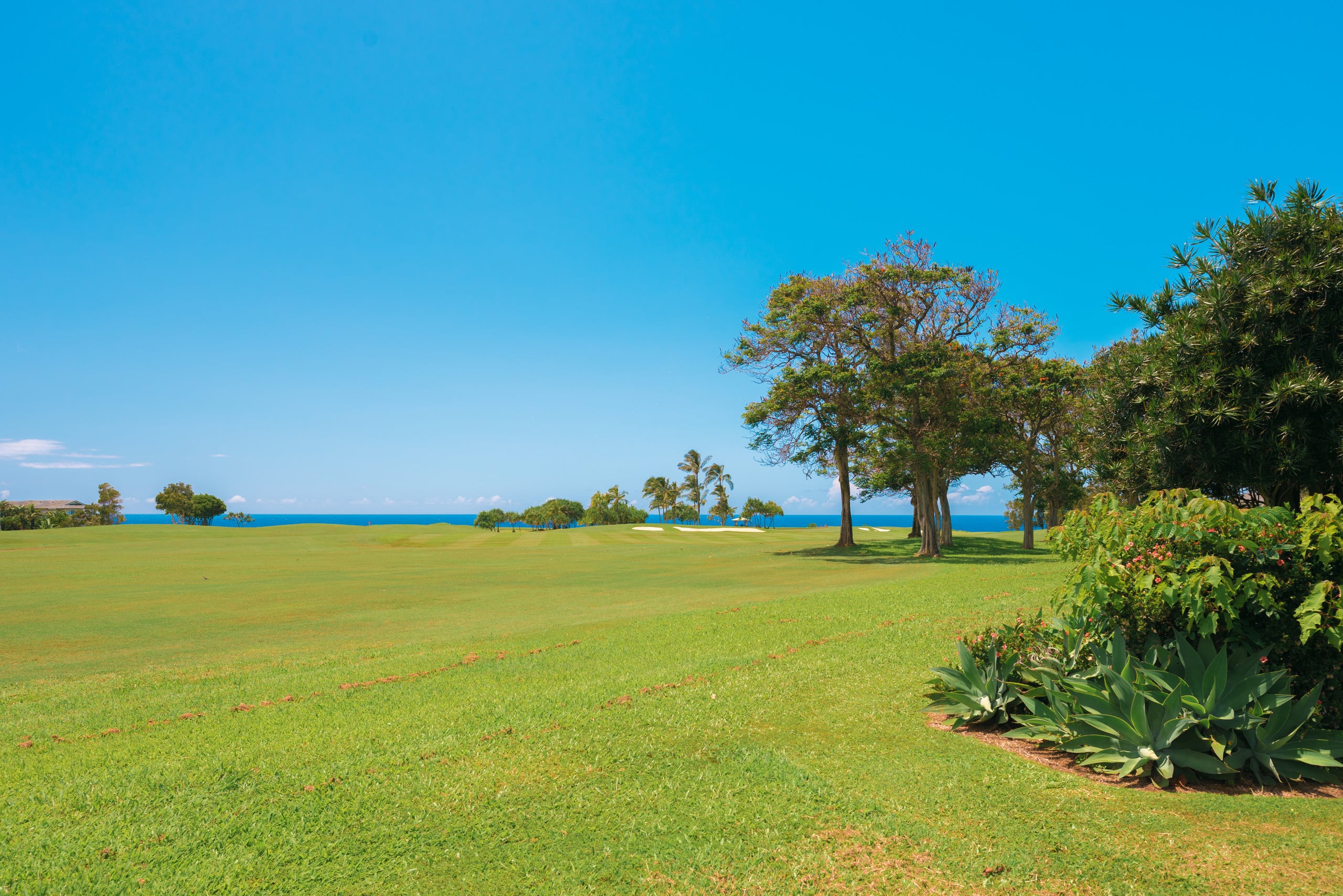Home in Princeville · ★5.0 · 3 bedrooms · 4 beds · 2 baths - Image 22
