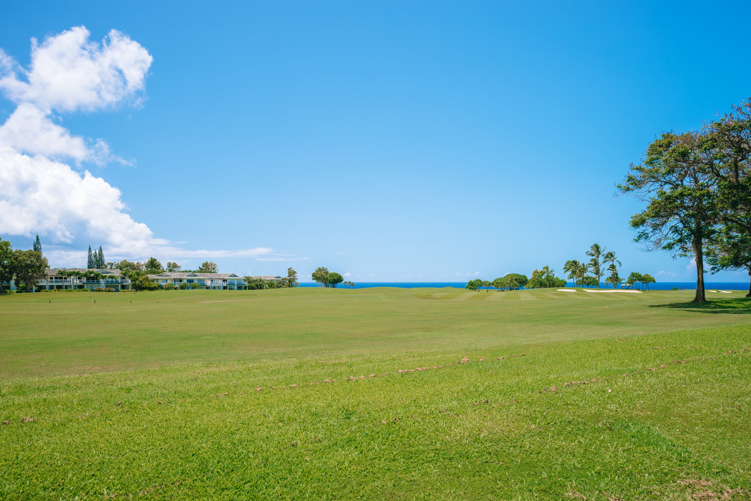 Home in Princeville · ★5.0 · 3 bedrooms · 4 beds · 2 baths - Image 20