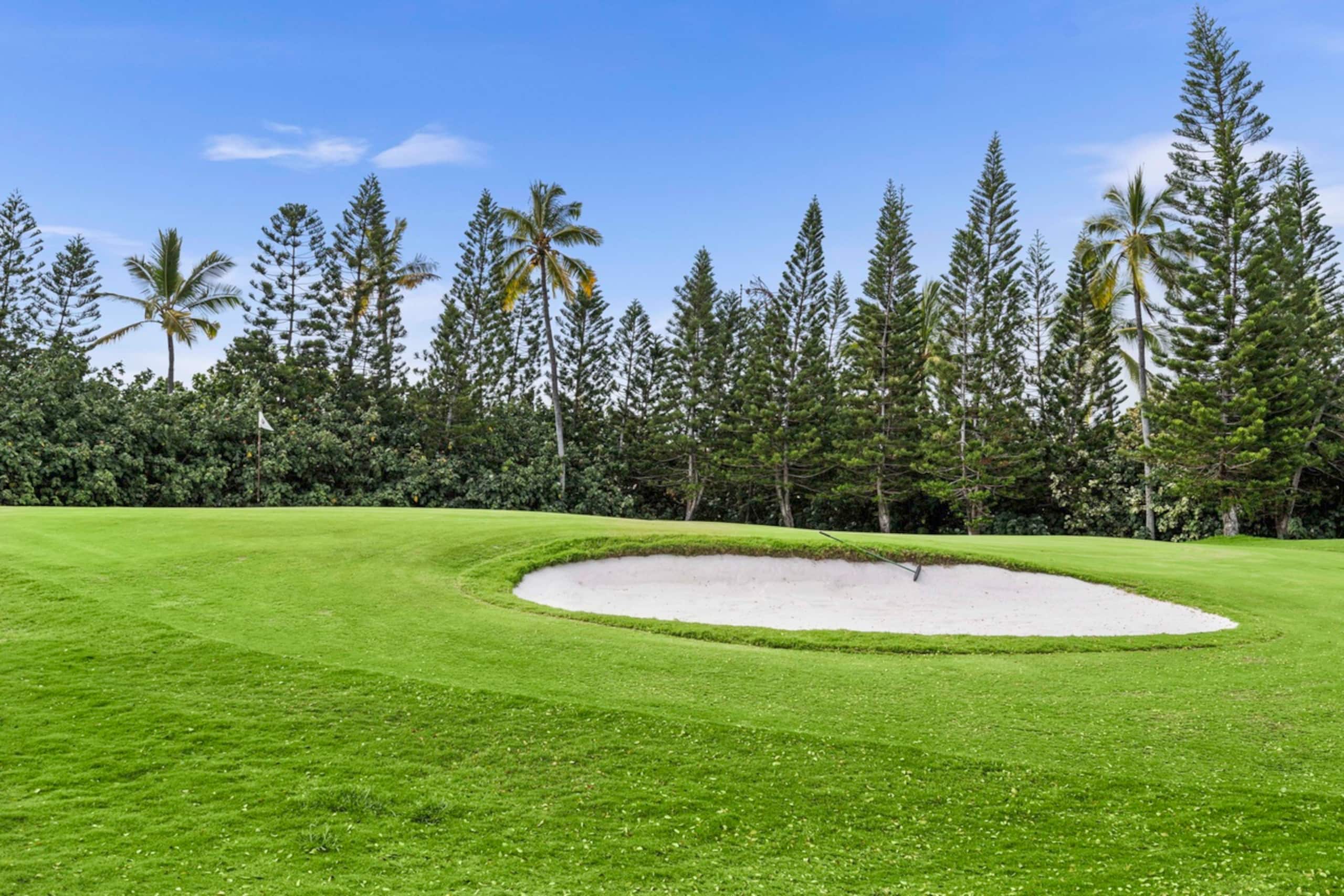 Updated Corner Unit with Ocean and Golf Views - Photo 41