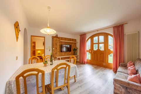 Top performing Airbnb: Apartment Anger in Ahrntal