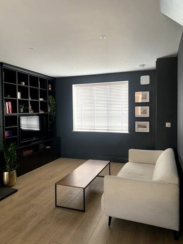 Luxury Design Home in Dublin gallery image 4