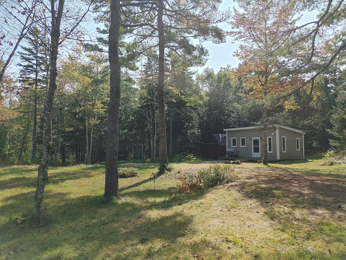 A rustic cabin is set within a private forested area, surrounded by tall trees and open grassy space. The structure features large windows, allowing natural light to fill the interior. A small shed is visible nearby, enhancing the secluded feel of the property.