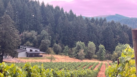 Unwind in Wine Country