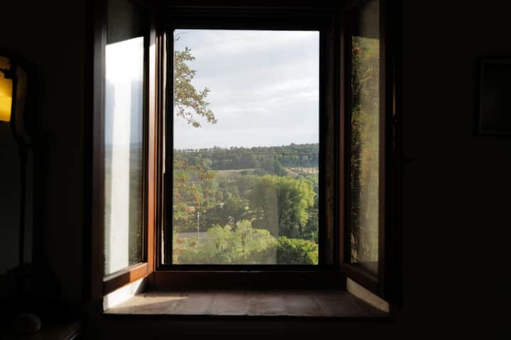 View from Casa Pavone window