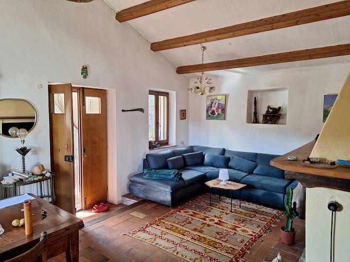 Living room with fireplace