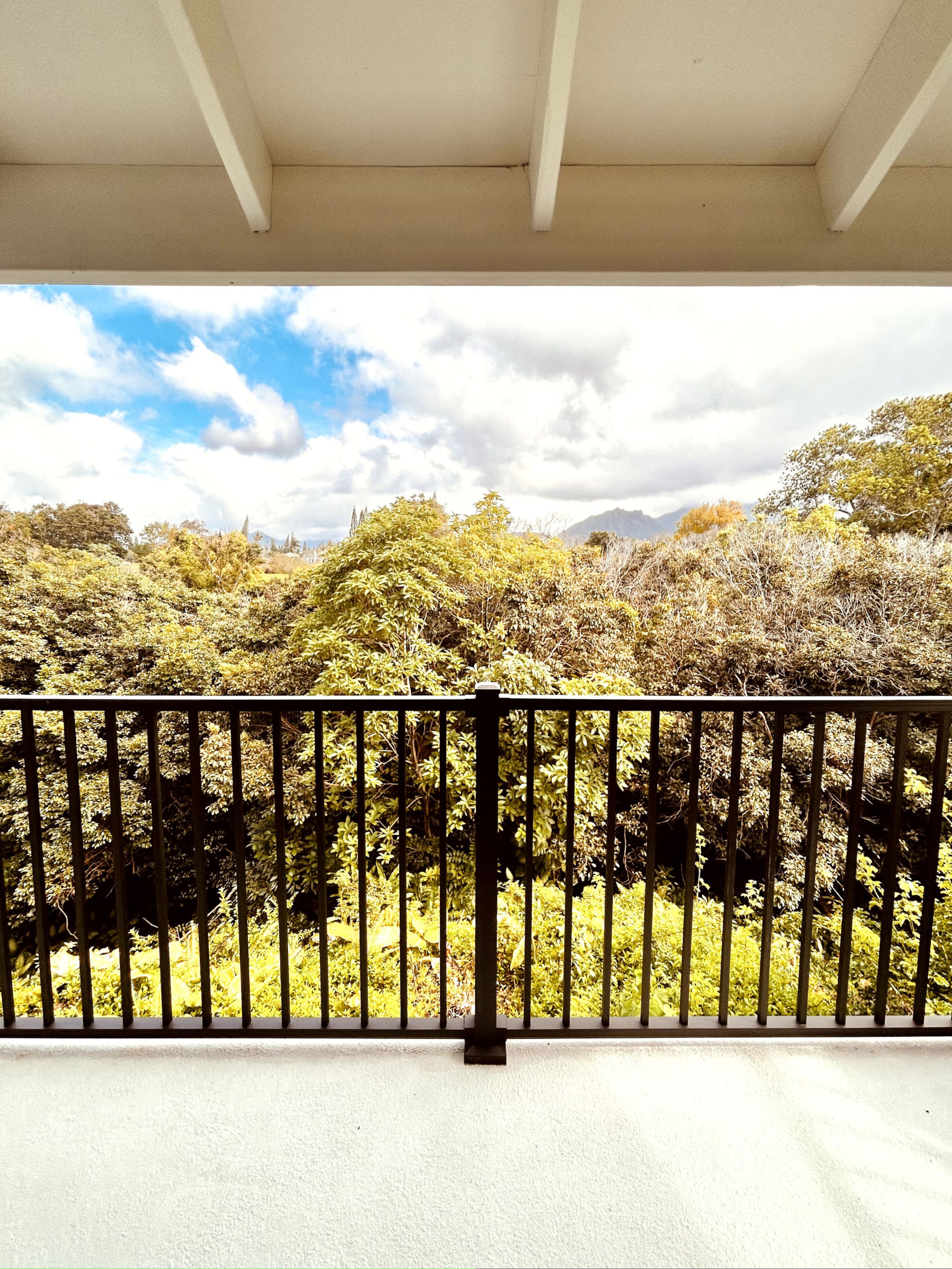 Bright, Airy, Central Loft with Lush Views - Photo 23