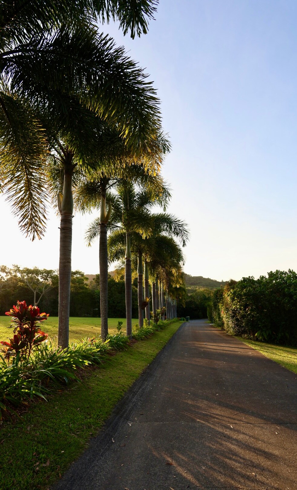 Apto para familias Vista a la montaña Salida después de la hora
