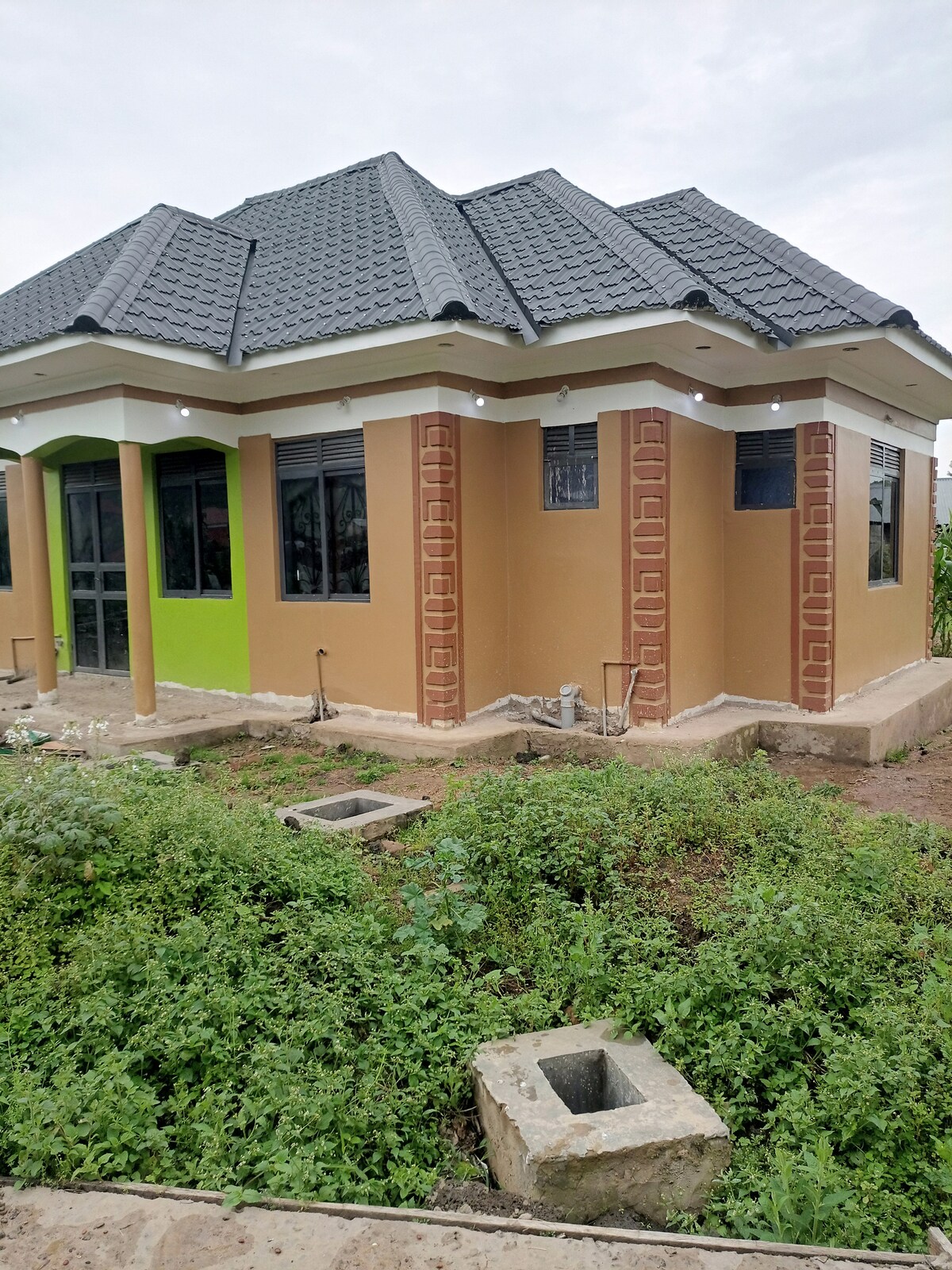 The exterior of a unique homestay is displayed, featuring a combination of earthy tones and bright green accents. A sloped, dark roof complements the textured walls. Lush green landscaping surrounds the structure, with small stone openings visible at the base, enhancing the natural ambiance.