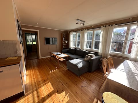 Successful Airbnb property: Nice and spacious apartment in Åmot