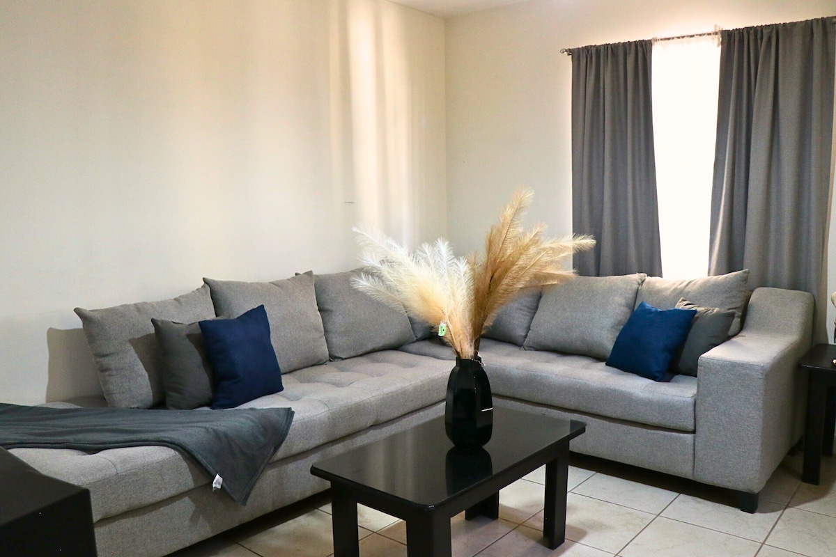 A spacious living area is furnished with a grey sectional sofa adorned with dark blue throw pillows. A small black coffee table is placed in front, featuring a vase with decorative dried pampas grass. Natural light enters through the window covered by light grey curtains.
