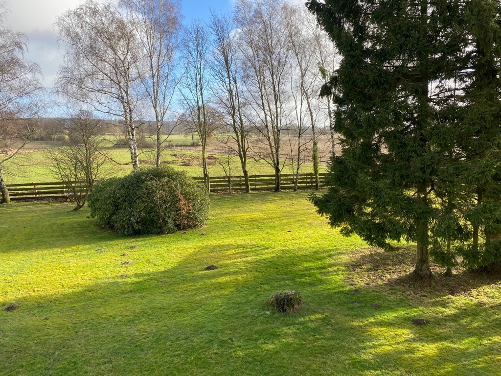A serene landscape features a lush green lawn framed by birch trees. In the background, a wooden fence lines the property, while gently rolling fields extend into the distance under a blue sky with scattered clouds.