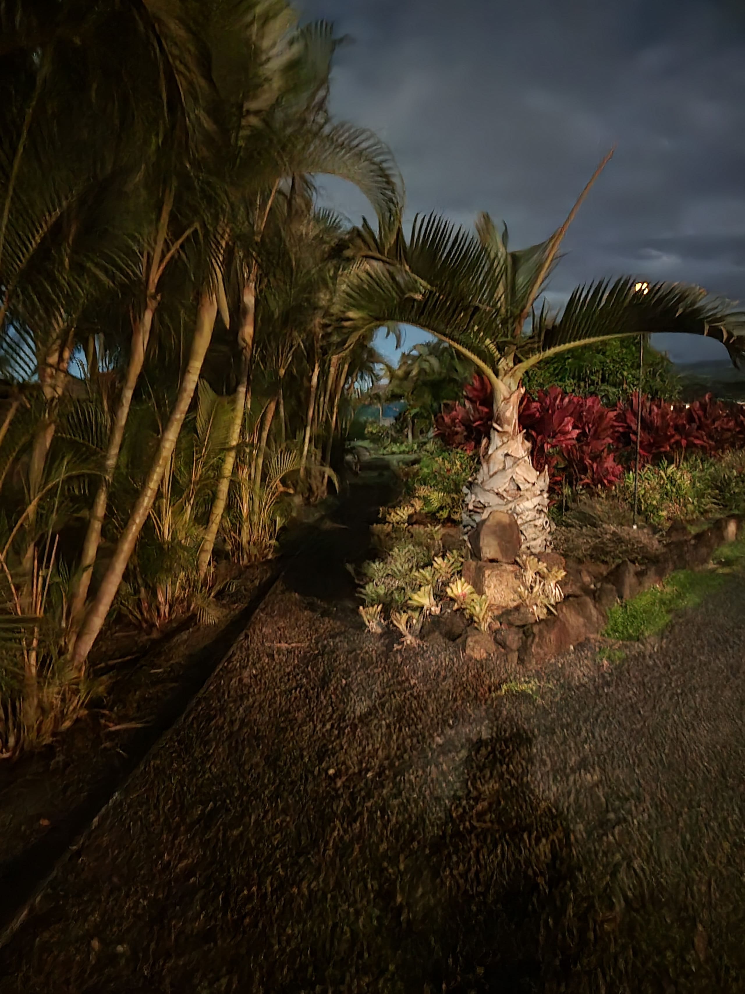 Townhouse in Koloa · ★4.82 · 1 bedroom · 1 bed · 1 private bath - Image 6