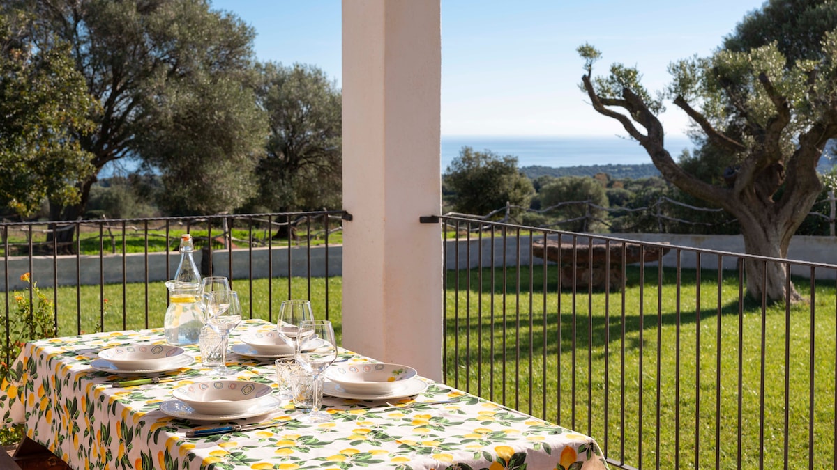 An outdoor dining area is set with a table covered in a vibrant lemon-patterned cloth. Plates and glasses are placed neatly, with a scenic view of greenery and the sea in the distance visible beyond a railing.