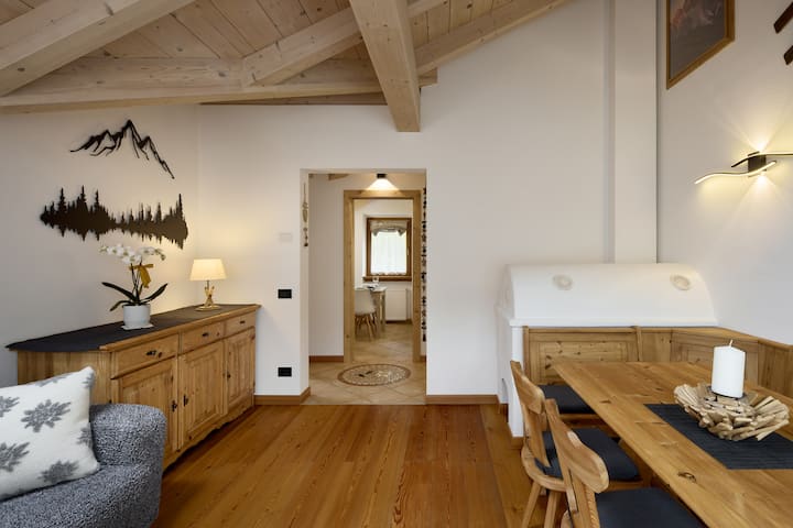 Apartment Alpen Dolomites - Alleghe