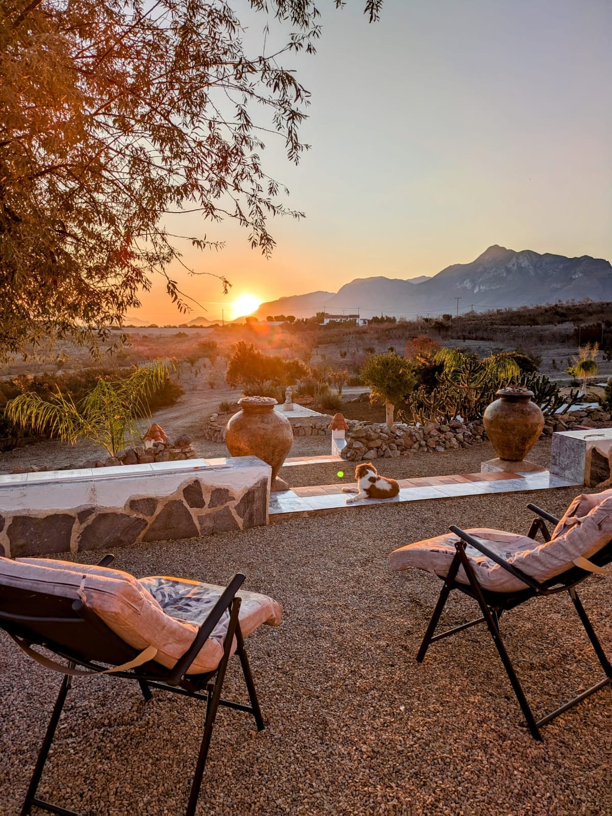A serene outdoor area is illuminated by the warm glow of a sunset over distant mountains. Two chairs are positioned on a gravel surface, alongside decorative pots. A small dog is seen resting nearby, while lush vegetation surrounds the scene.