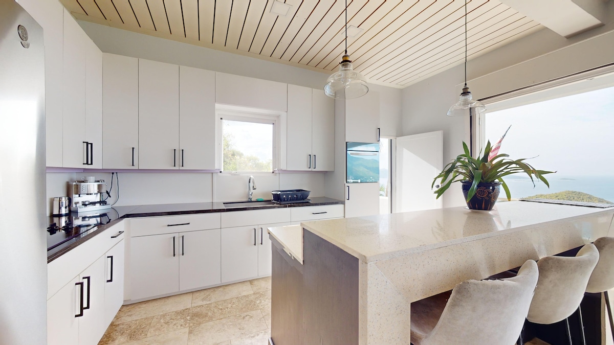 A bright kitchen features modern cabinetry with sleek black handles and a large island counter made of natural stone. A view of the ocean is visible through a window, and a potted plant adds a touch of greenery to the space.