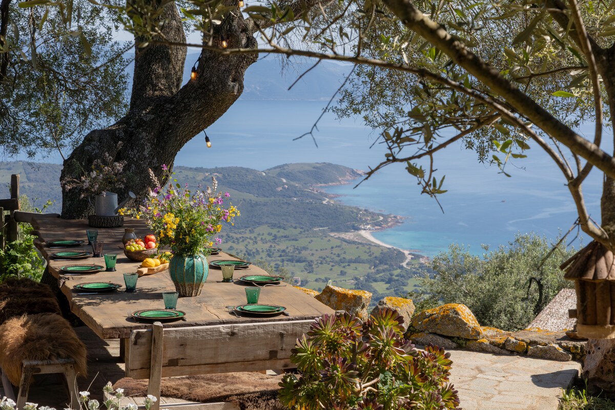 An outdoor dining area features a rustic wooden table set with green plates and a vase filled with vibrant flowers. Lush greenery and an olive tree provide shade, while a panoramic view of the coastline and sea is visible in the background.