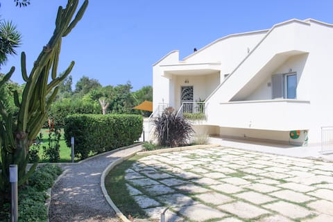 Signature Vaccine • Cuma