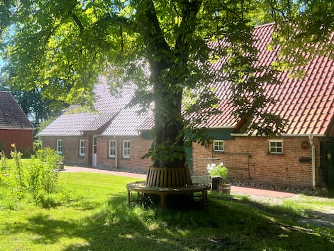 Vacation home in Meyenburg - No workers