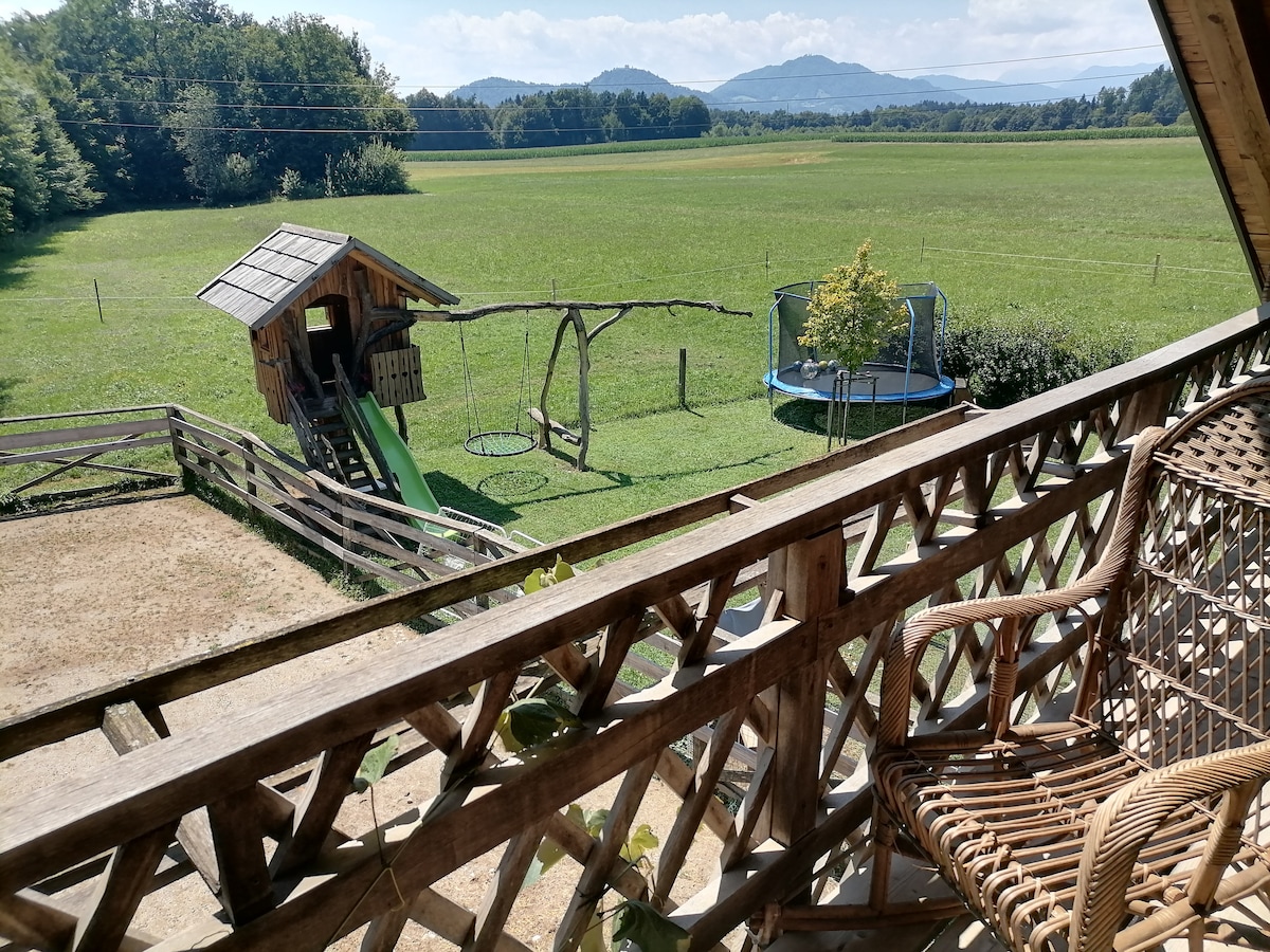 A view from a balcony showcases a play area with a wooden play structure, slide, and swing. A trampoline is visible nearby, surrounded by a grassy expanse and framed by trees. The distant mountains are visible against a clear sky.